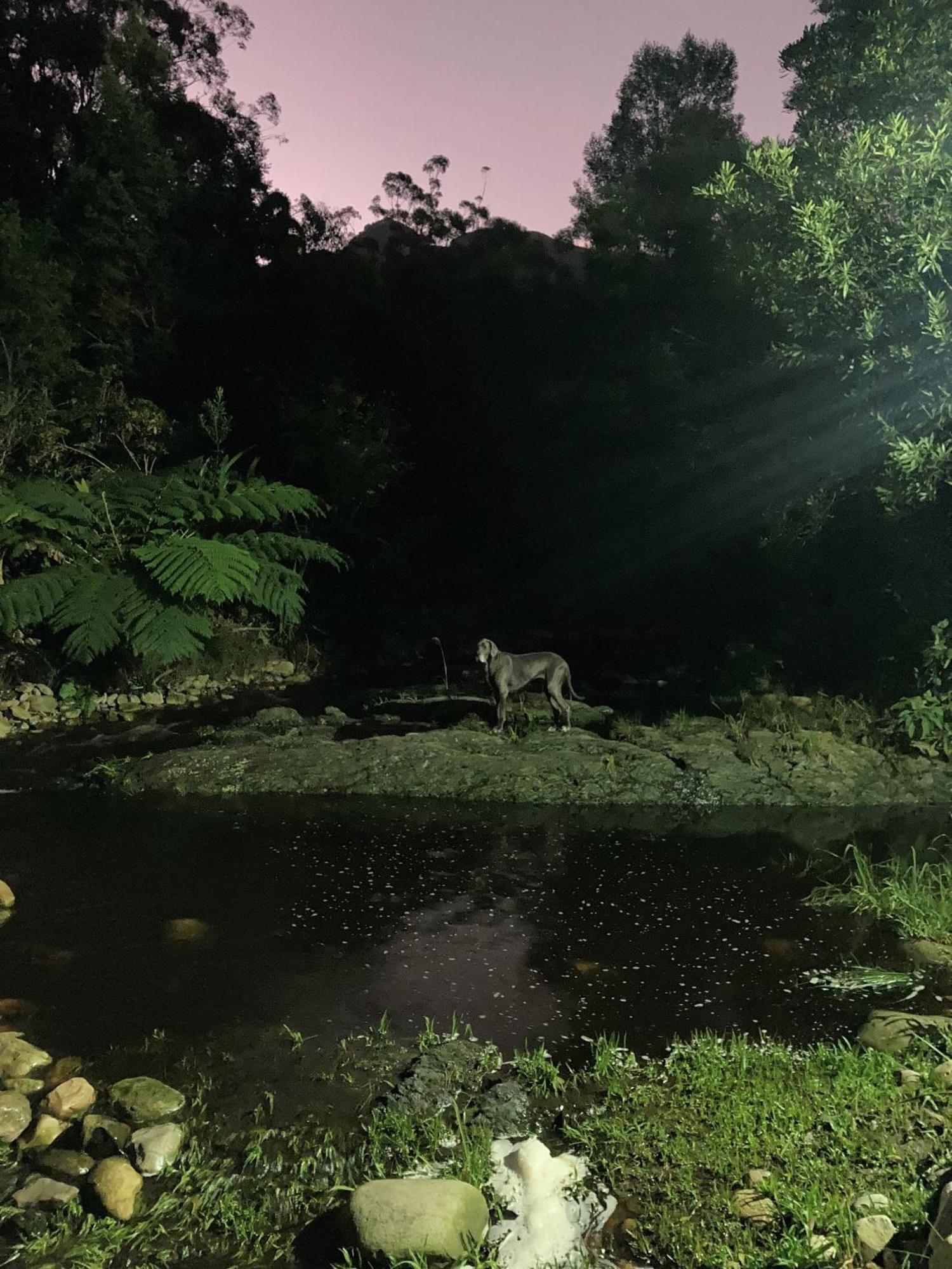 A Riverbed Guesthouse スウェレンダム エクステリア 写真